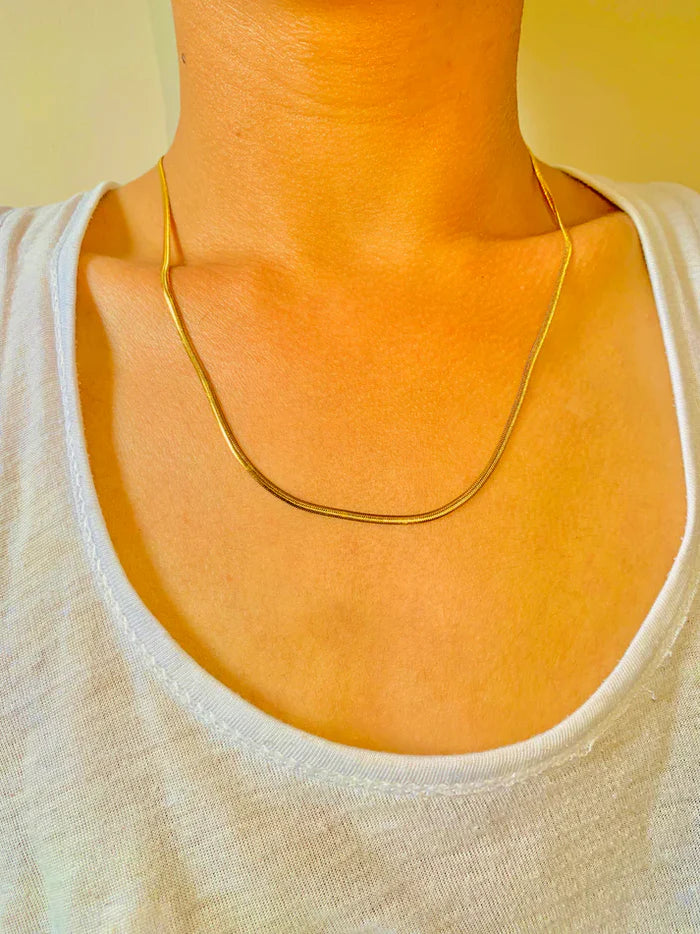 Snake Stainless Steel Chain (Unisex)